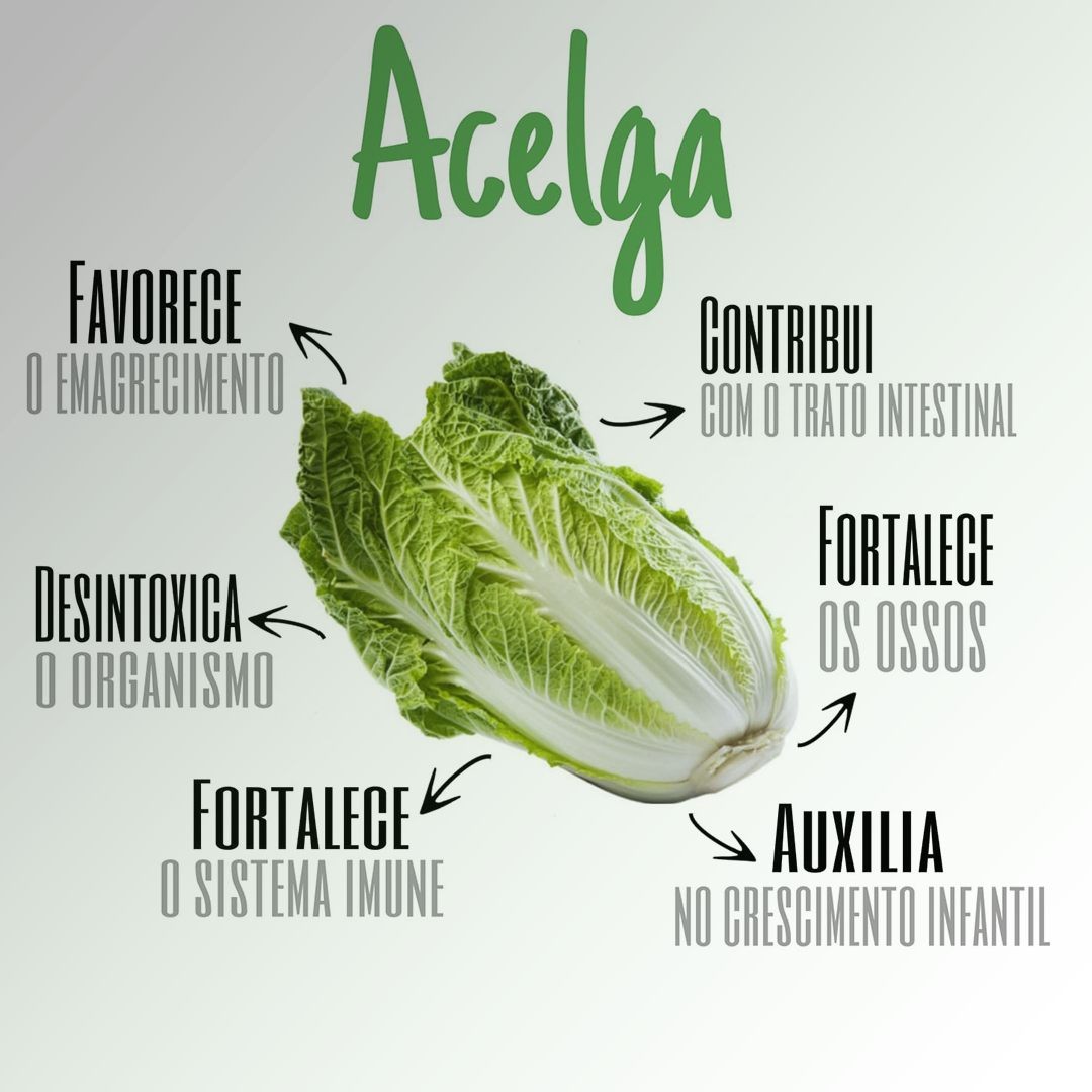 Acelga